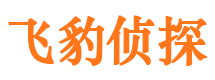 察雅外遇调查取证